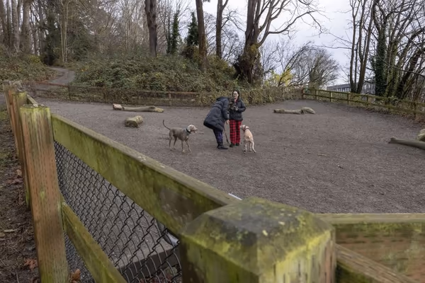 Genesee Park Off-Leash Area photo 2